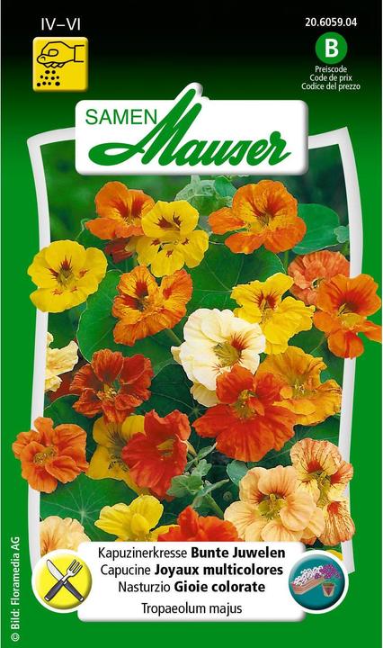 Actual product image Samen Mauser Nasturtium Colourful Jewels (Herb seeds)