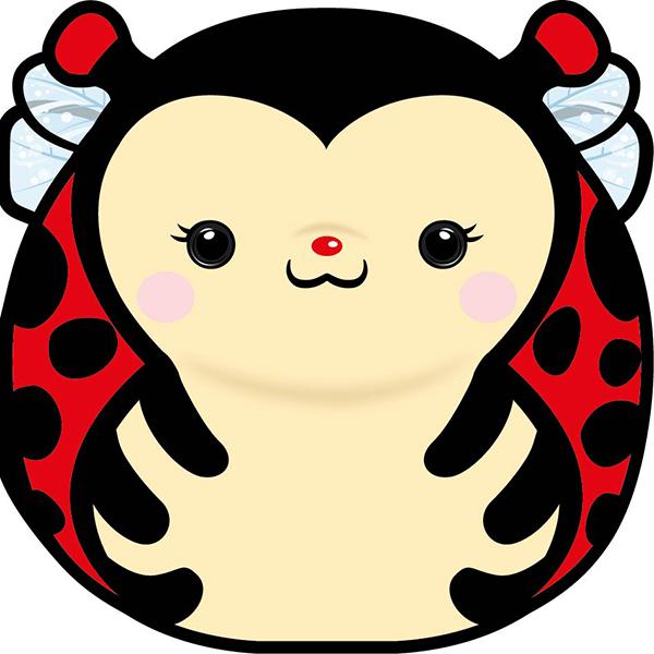 Image du produit Card Group Carte Chonky Ladybug