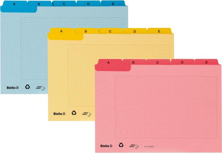 Actual product image Biella Index guide cards A7 (A7, 450 g/m², 25 x)