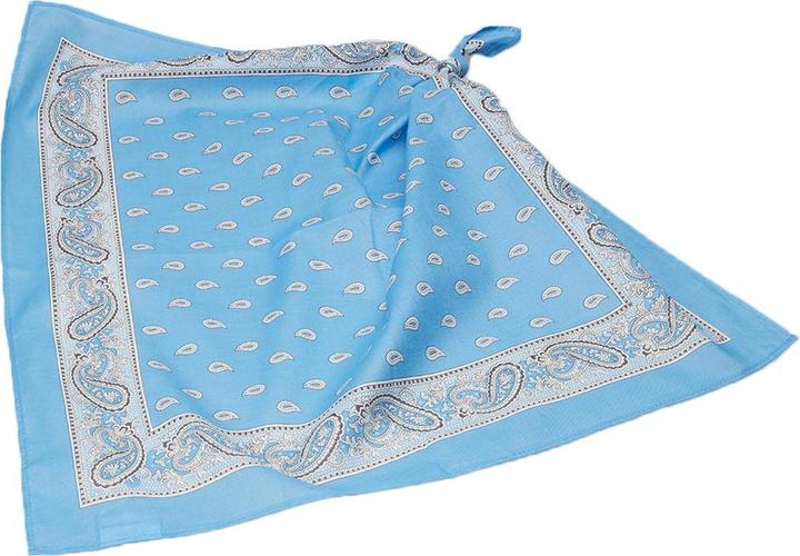 Image du produit F. Blumer & Cie Glarner Tüechli Classic, 50 x 50 cm, bleu azur