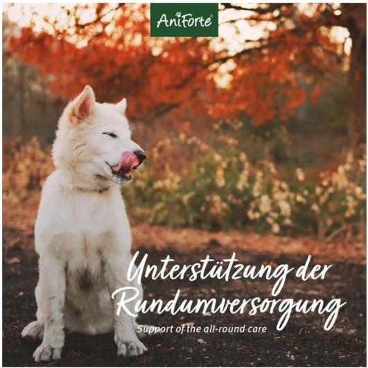 Produktbild AniForte 4in1 Complete Dog (Adult, 1 Stk., 250 g)