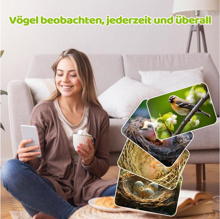 Actual product image Sanilu Clean Sanilu Vogel Nistkasten mit Kamera, Tierart: Vogel, Produkttyp
