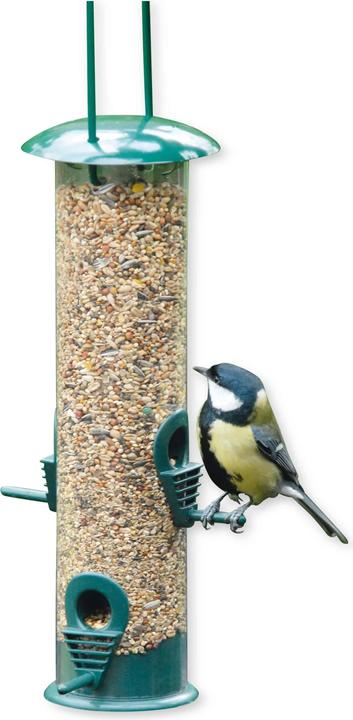 Lifetime Bird Feeder