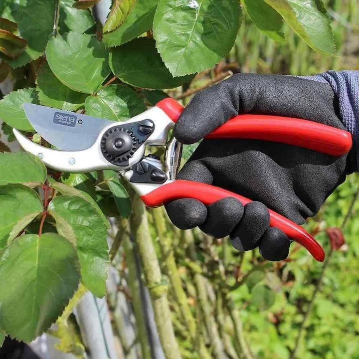 Actual product image Siena Garden Bypass