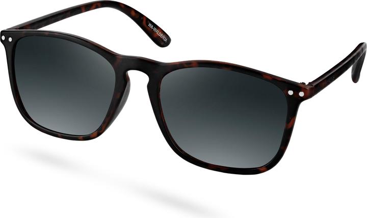 Waykins Atlantic