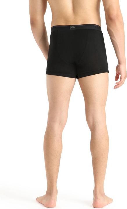 Actual product image Icebreaker Everyday (M)