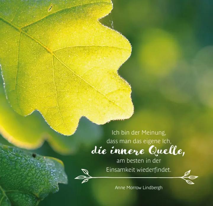 Actual product image Ancient wisdom of the trees (Hardcover, German)