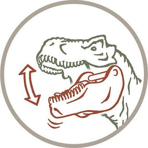 Image du produit Schleich Tyrannosaurus Rex