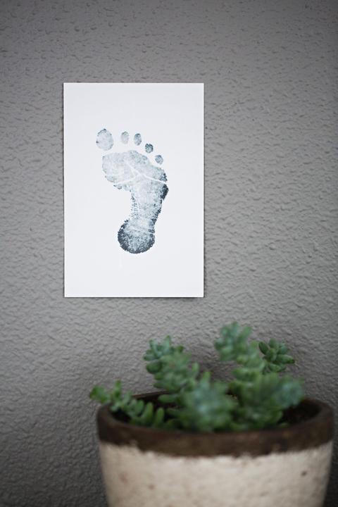 Actual product image Pearhead Stamp pads