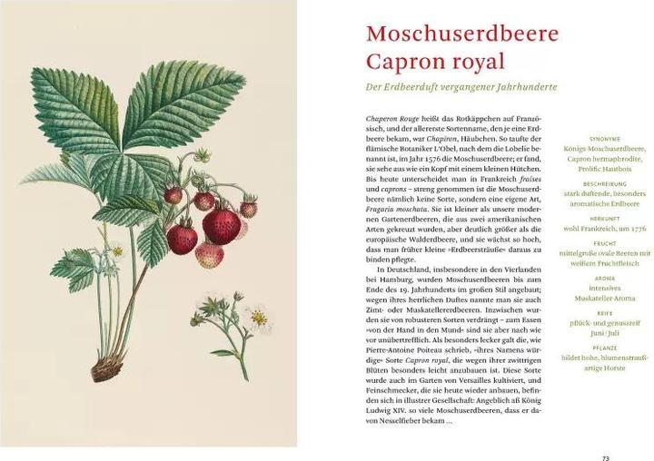 Image du produit Die alten Obstsorten (Allemand, Aveugle Sofia, Bibliothèque d'État de Berlin, 2020)