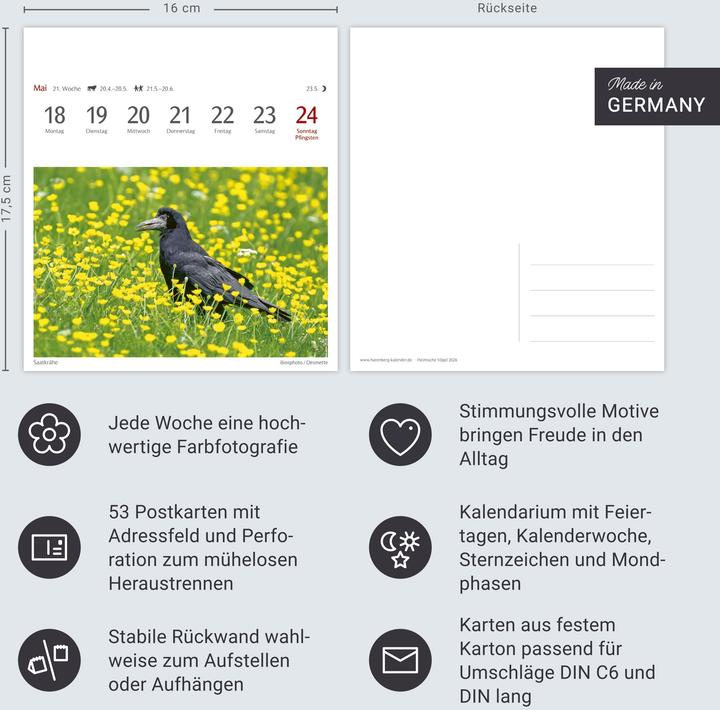 Produktbild Harenberg Heimische Vögel Postkartenkalender 2026 - Wochenkalender mit 53 Postkarten (Deutsch)