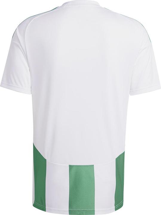 Actual product image adidas Striped 24 Jersey (S)