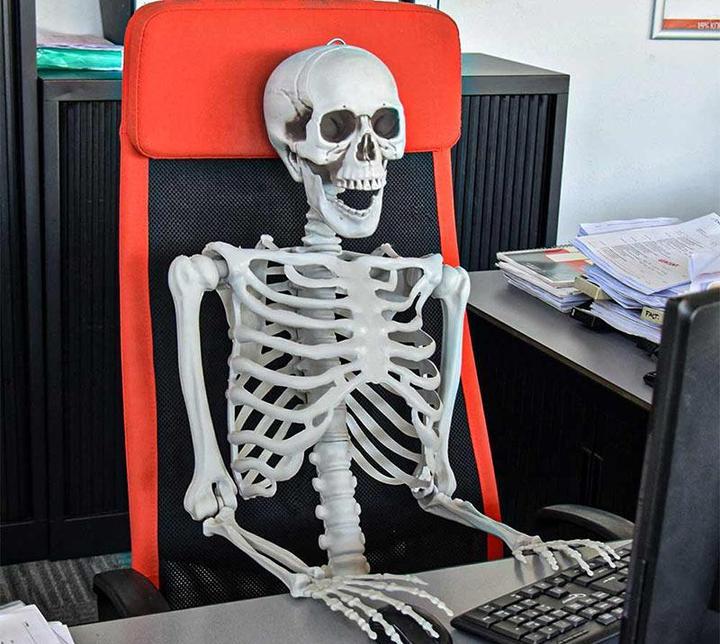 Actual product image TOP Life size skeleton