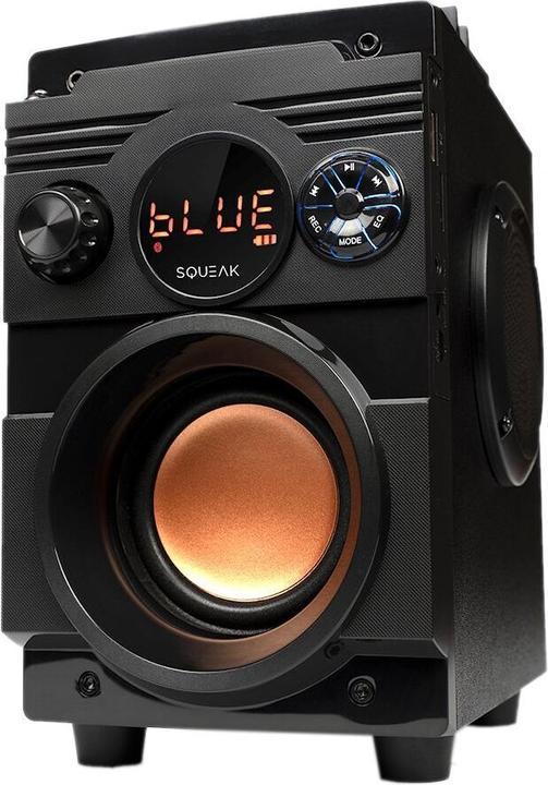 Produktbild Squeak Głośnik Bassblaster Bluetooth 5.1 Radio Fm Odtwarzacz Mp3 Sq1001 (7 h, Akkubetrieb)