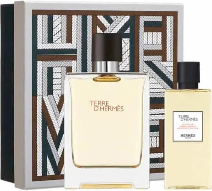 Hermès Terre d' (Eau de toilette, 100 ml)