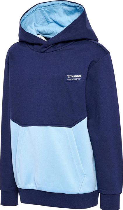 hummel hmlEDDY HOODIE