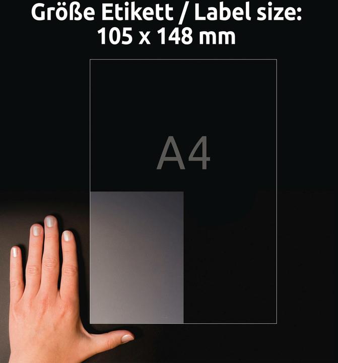 Image du produit Avery Étiquettes antimicrobiennes, ablösbar, transparentes