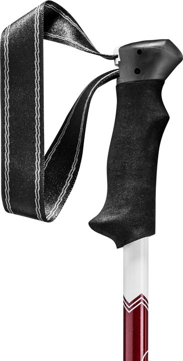 Actual product image Leki Trail Lite (100 - 135 cm)
