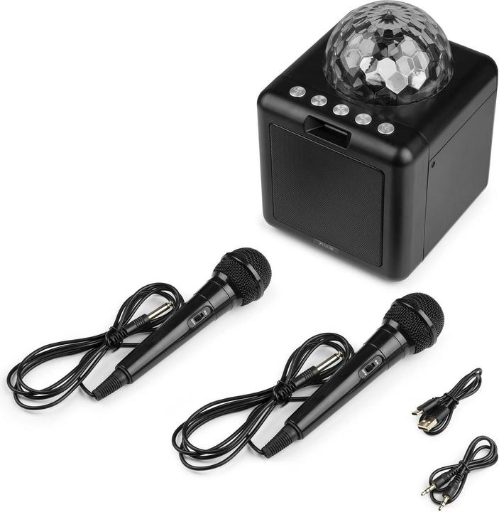 Immagine prodotto Fenton Altoparlante KAR15B con 2 microfoni (1x 15 W)