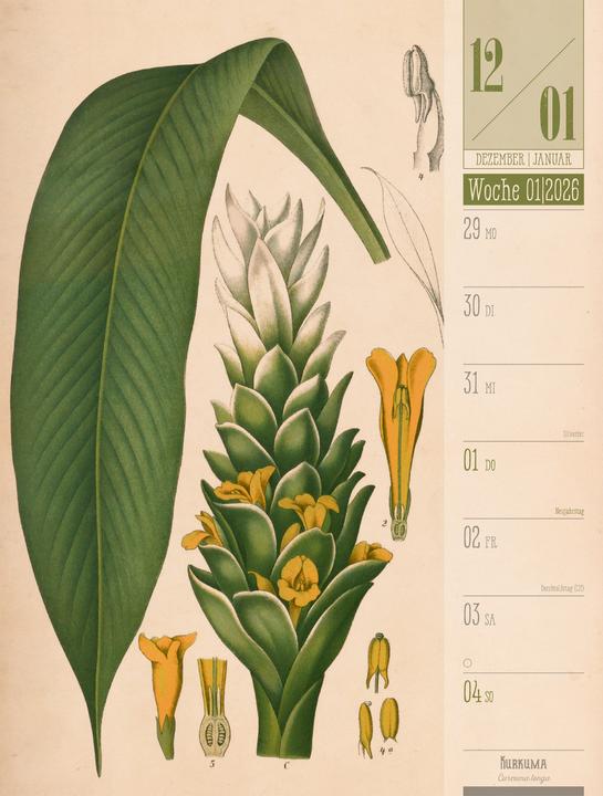 Immagine prodotto Culinarium - Küche, Kräuter, Kurioses - Vintage Wochenplaner Kalender 2026 (25 x 33 cm, Copertina rigida, Tedesco)