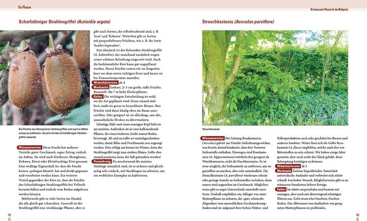 Produktbild Praxisbuch Waldgarten (Deutsch, Volker Kranz, Frederik Deemter, 2024)