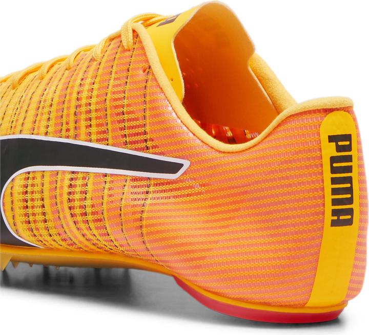 Produktbild Puma evoSPEED FUTURE 6 (40)