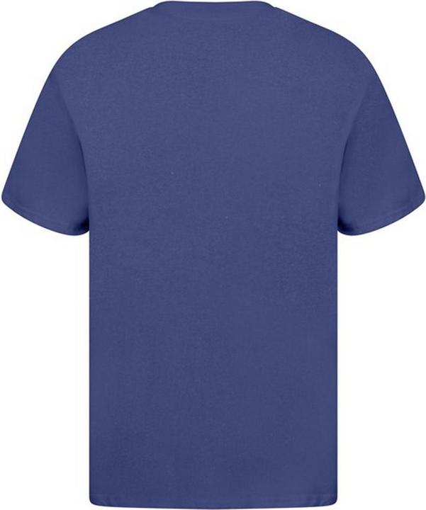 Actual product image Casual Classics Casual Classic Mens Ringspun Tee (5XL)