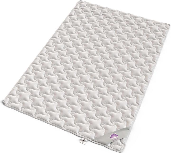 Immagine prodotto Lotus Bettwaren Piumino in bambù (2000 g, 240 x 240 cm)