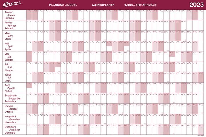 Actual product image BoOffice Annual planner 2019 (90 x 60 cm, No binding, German, French, Italian)