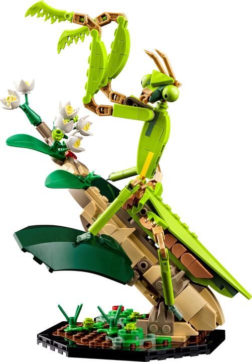 Immagine prodotto LEGO Idee La collezione di insetti (21342, LEGO Ideas)