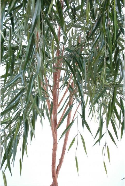 Produktbild Greendeco Künstliche Trauerweide, ca. 270cm (270 cm)