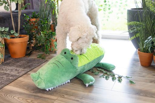 Produktbild Beeztees Hundespielzeug Krokodil