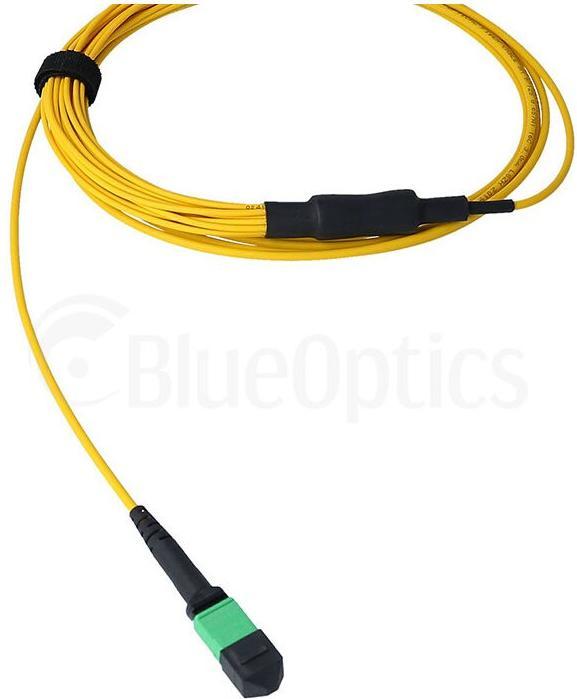 Produktbild BlueOptics LWL MTP/8xSC Duplex Breakout Kabel G.657.A1 Singlemode 2 Meter (2 m)
