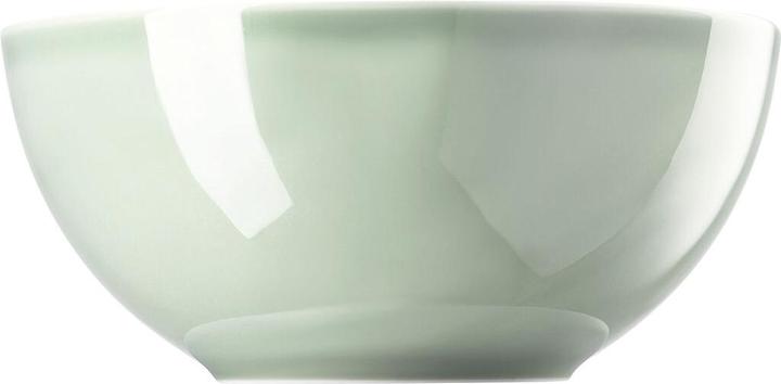 Immagine prodotto Thomas Daily - Verde muschio - Saladier 24 cm (23.80 cm, 2.80 l, 1 x)