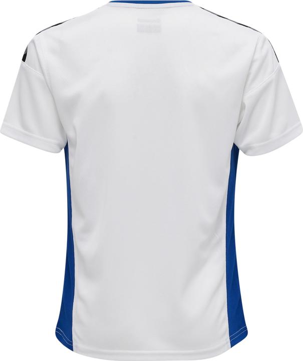 Actual product image hummel Authentic Kids Poly Jersey S/S (176)