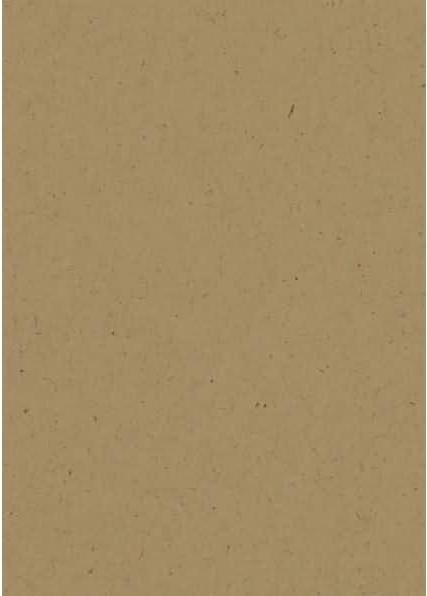 Produktbild Heyda Universalkarton 220g/qm A4 natur braun (220 g/m², 1 x)