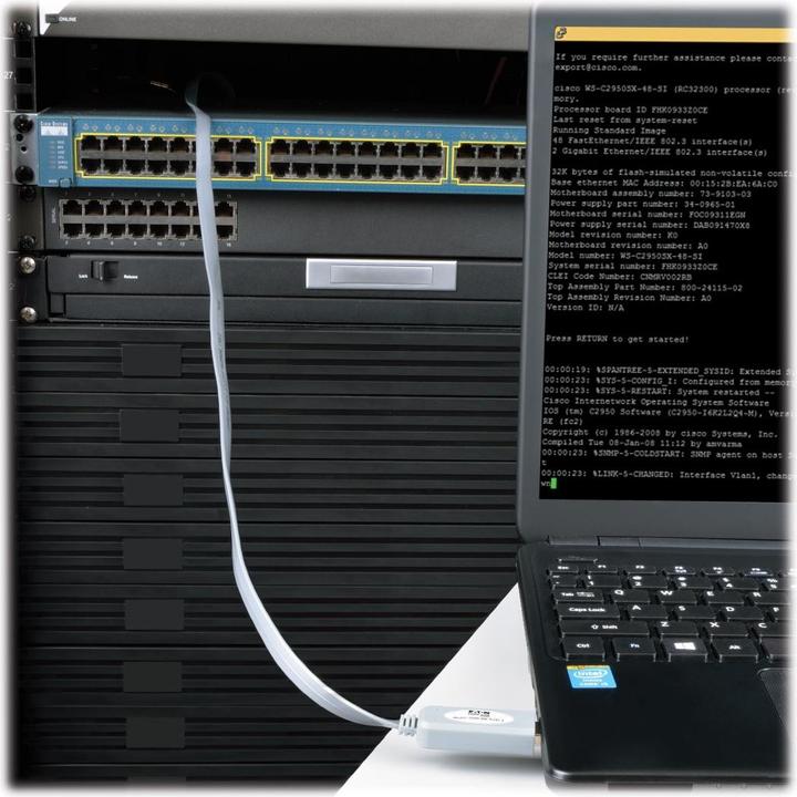 Image du produit Eaton USB-A to RJ45 Serial Rollover Cable M/M Cisco Compatible 250 Kbps 6 ft. 1.83 m grey (USB-A, 1 Ports)