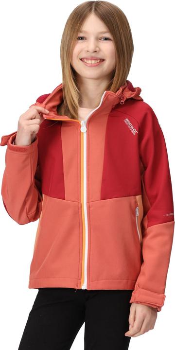 Produktbild Regatta Haydenbury Softshelljacke (116)