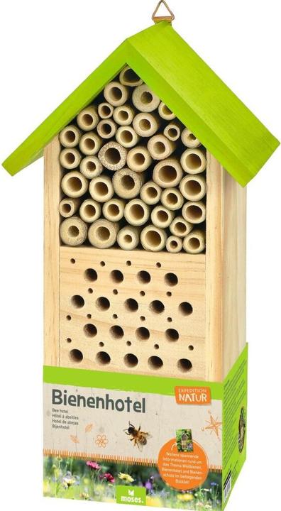 Expedition Nature (Wild bees)