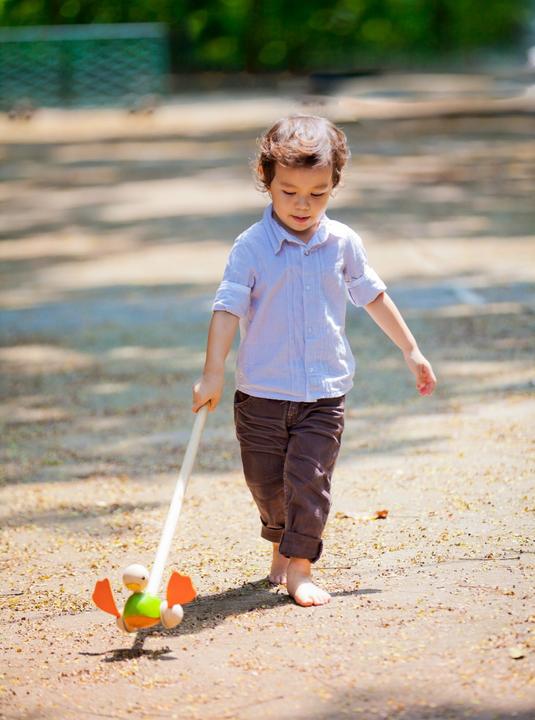 Immagine prodotto Plantoys Anatra per frugare