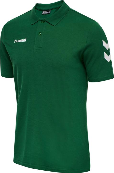 Sempreverde