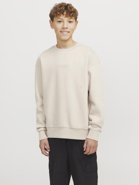 Actual product image Jack & Jones Printed sweatshirt junior sweatshirt (140)