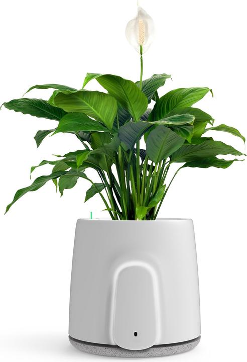 Produktbild Vitesy Natede Smart (20 m²)