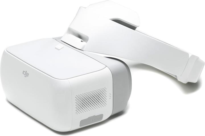 DJI Goggles