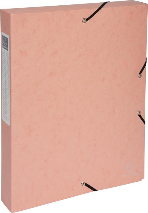 Actual product image Exacompta Archive boxes (A4)