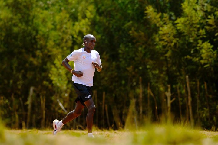 Image du produit Shokz OpenRun Pro 2 (pas de réduction du bruit, 12 h, Sans fil)