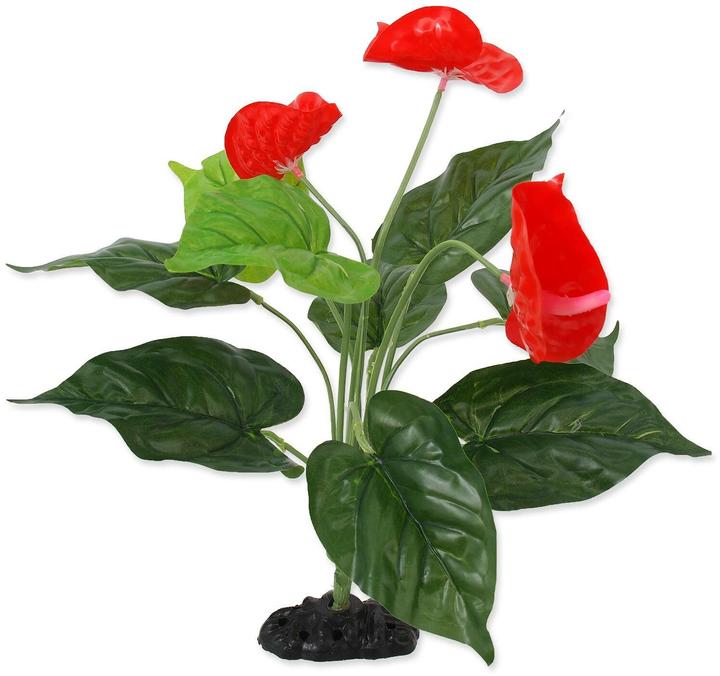 Produktbild Repti Planet Anthurium, 40 cm