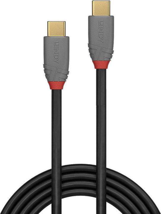 Actual product image Lindy Anthra Line (0.50 m, USB 3.1)