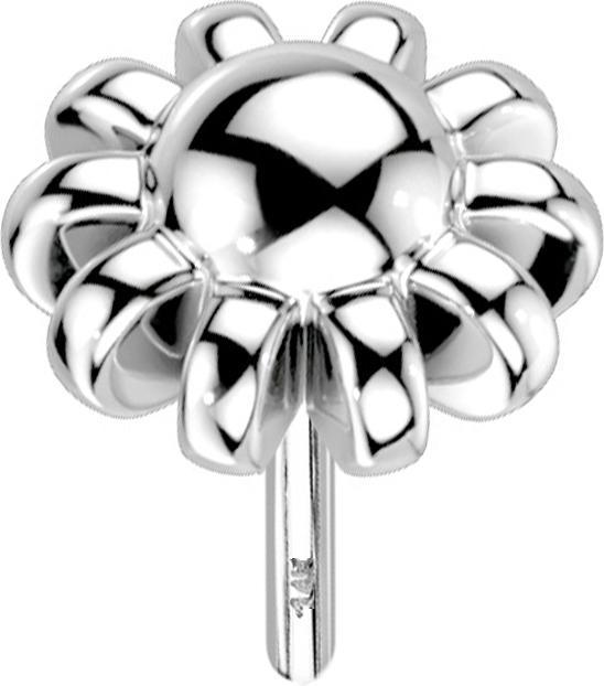 Produktbild Star Piercing Threadless 14k weissgold Kugel mit Kugelrand (14k Gold, ohne Messing)