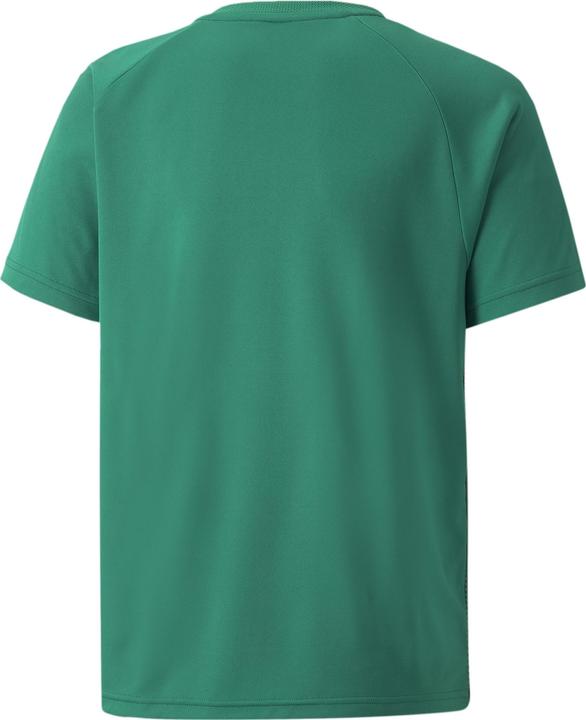 Immagine prodotto Puma maglia a righe teamLIGA Jr-704927 (116)